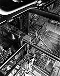 dinofactorythm.jpg - 9855 Bytes