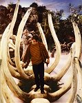 dinogravesthm.jpg - 9728 Bytes