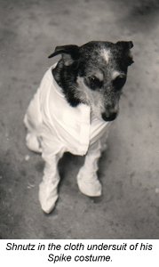 edge36.jpg - 12378 Bytes