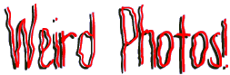 photohed.gif - 6336 Bytes