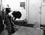 Lisa works on the hexagon bridge